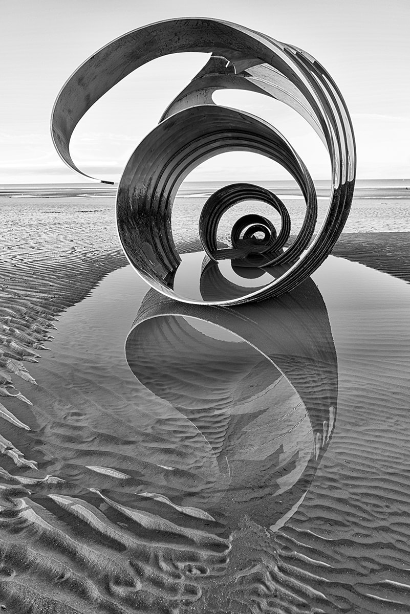 A shell sculpture